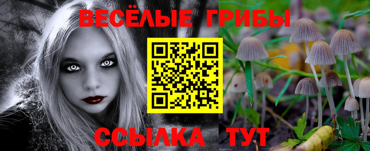 Кудымкар  Псилоцибиновые грибы Psilocybine cubensis  Вход с VPN  Псилоцибиновые грибы прущие грибы 