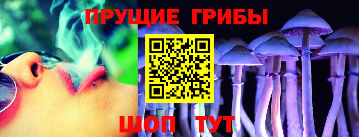 Псилоцибиновые грибы прущие грибы Кудымкар